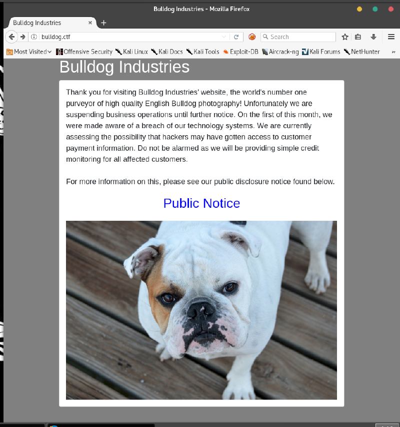 A6 – website landing